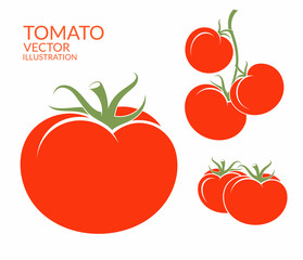 Tomato. Isolated vegetables on white background