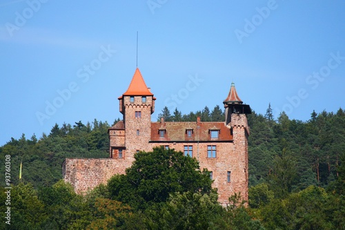 Burg Berwartstein photo