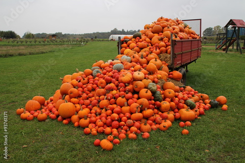 Принти на полотні Erntezeit