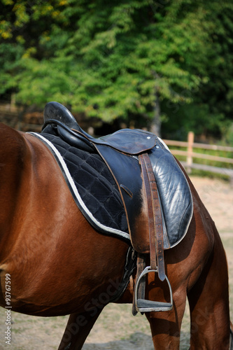 A saddle on the horse
