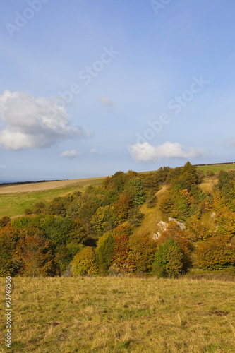 autumnal hillside