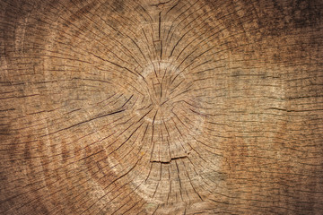 Fototapete Brennholz Textur Alte Holzstruktur  © Sondem