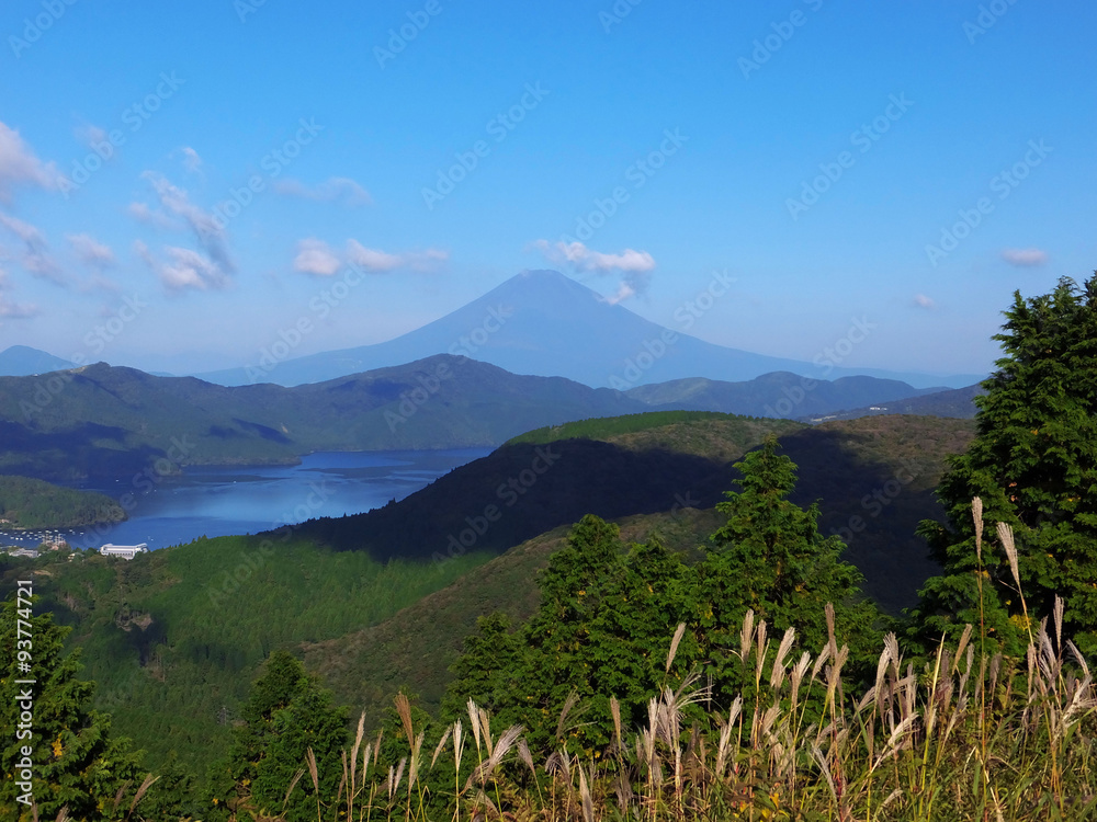 Fototapeta premium Mt.Fuji from Mt.Taikanzan