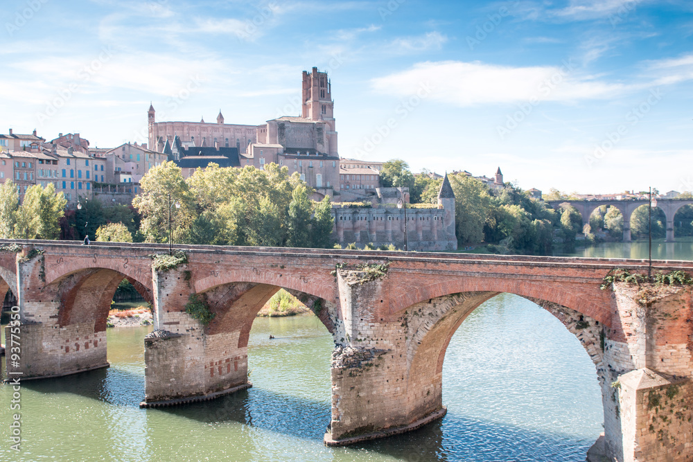 Fototapeta premium Albi, rives du Tarn