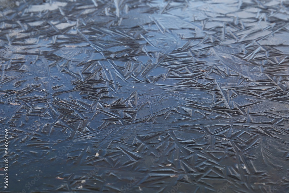Frozen pond surface Frozen pond surface