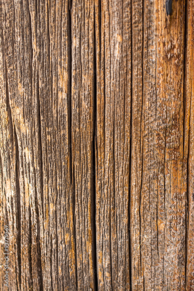 Fototapeta premium Old wooden board