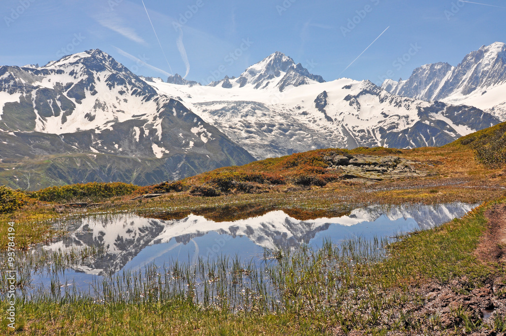 Fototapeta premium Alpine nature / The Alps are the highest and most extensive mountain range system that lies entirely in Europe, across Austria, France, Germany, Italy, Liechtenstein, Monaco, Slovenia, and Switzerland