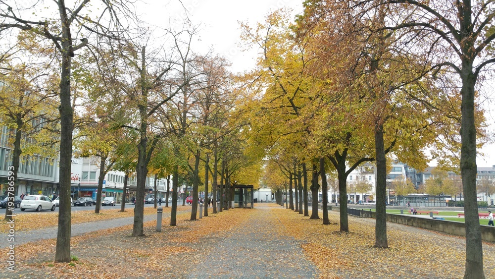 Herbst in Kassel 