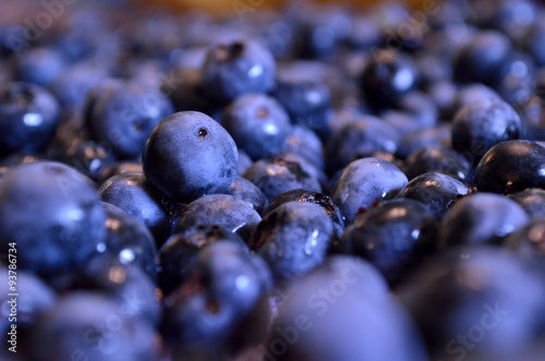 Blueberry closeup background