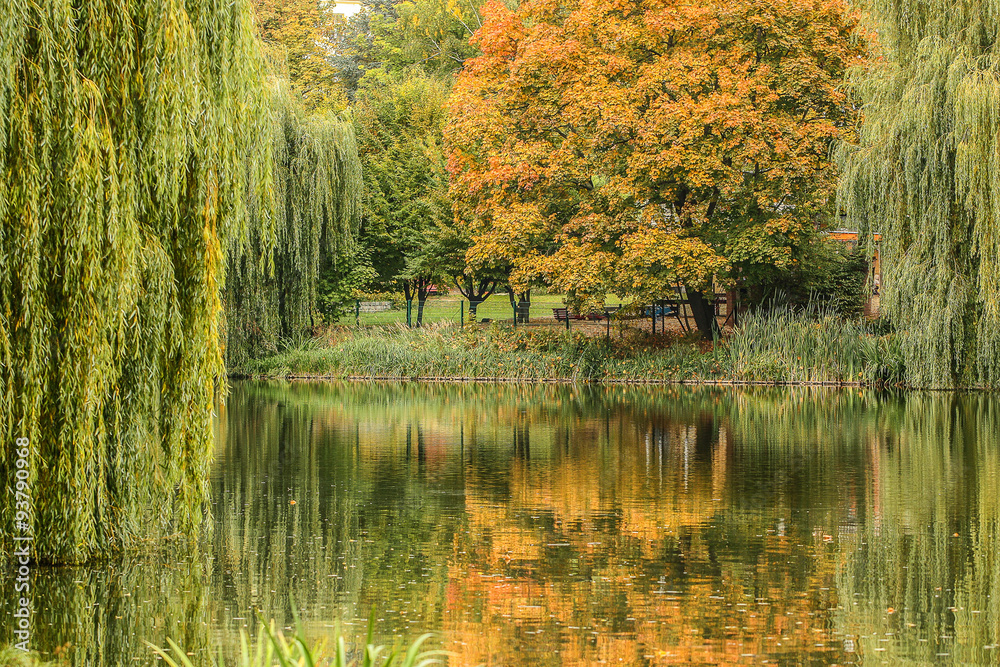 An autumn park with lake.