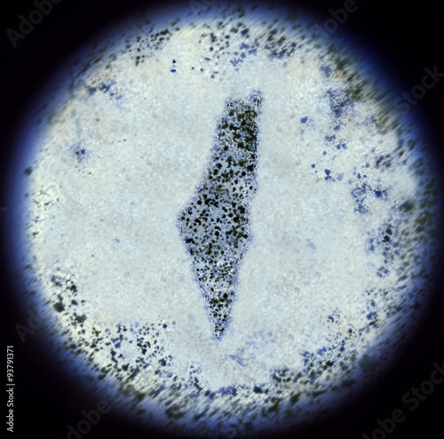 Bacterias in the shape of Israel viewed through a microscope.(se photo