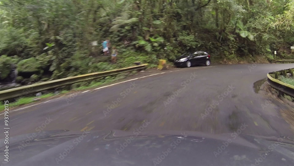 El Yunque Rainforest driving POV 2 HD 0242 El Yunque Rainforest driving POV 2 HD 0242