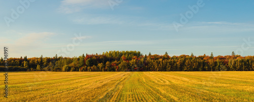 Panorama of PEI rural scene at fall © Petrov Vadim