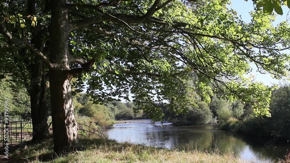 Beautiful Motherwell park with river Clyde in Scotland, footage Beautiful Motherwell park with river Clyde in Scotland, footage