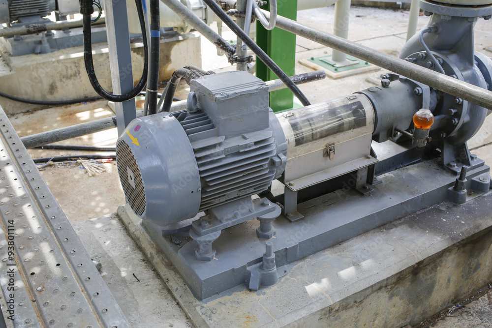 Induction motor with Centrifugal pumps