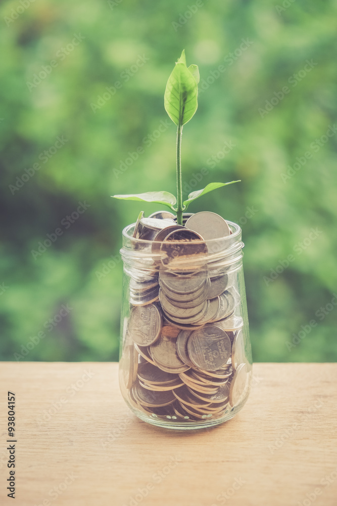 Sprout growing on glass piggy bank in saving money concept with Sprout growing on glass piggy bank in saving money concept with