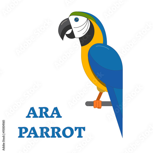 Tropical Bird Ara Parrot