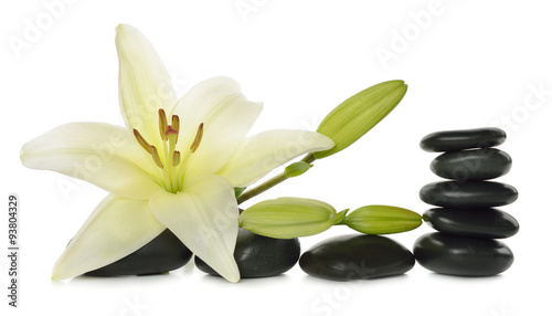 White lily and stones #93804329