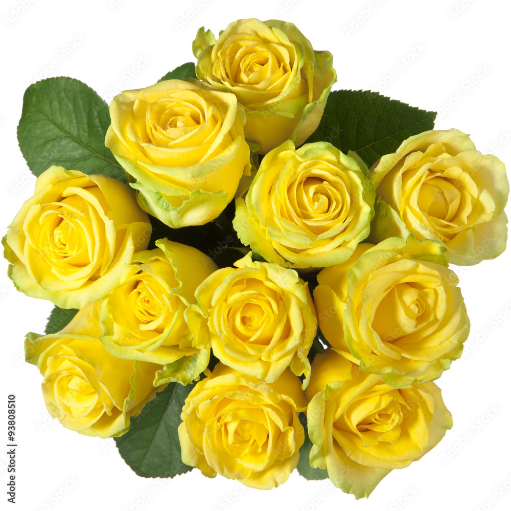 bouquet of yellow roses on a white background bouquet of yellow roses on a white background