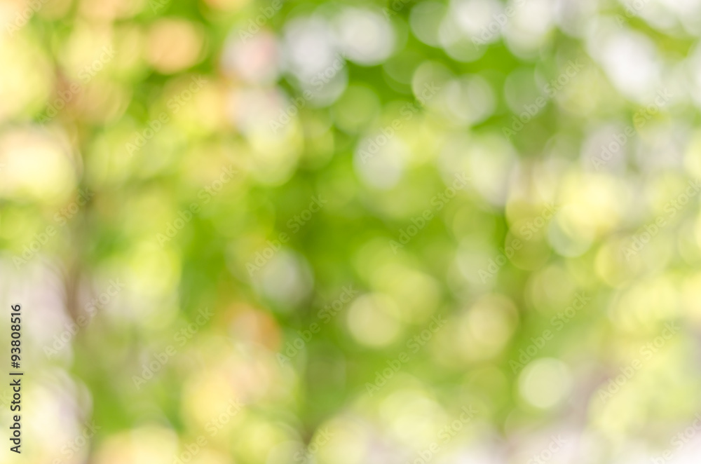 Obraz premium atmosphere green and yellow blur background with bokeh in noon