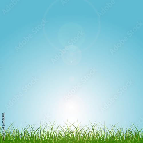Green grass and blue sunny sky