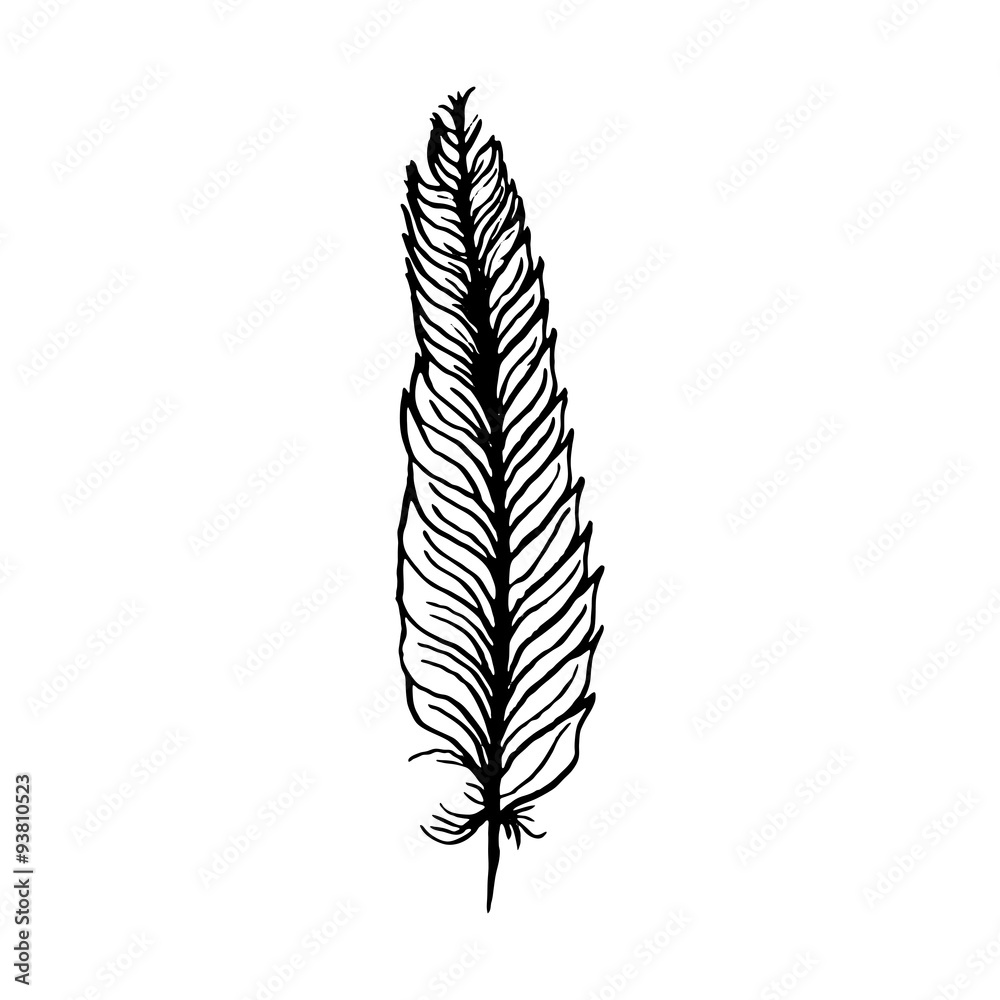 hand draw bird feather style sketch for registration cards hand draw bird feather style sketch for registration cards