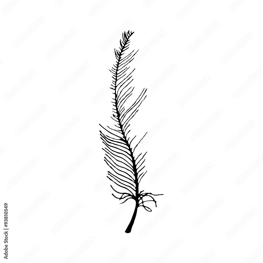 Fototapeta premium hand draw bird feather style sketch for registration cards