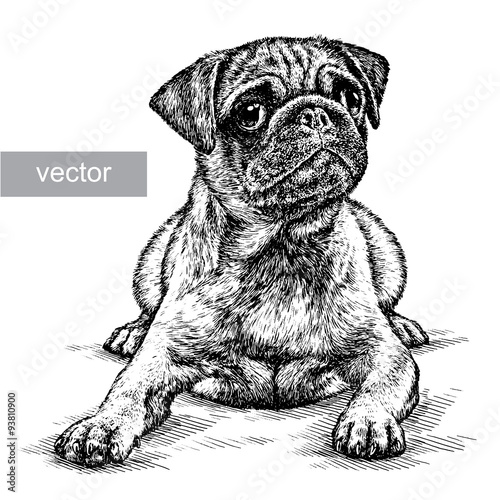 engrave dog illustration 