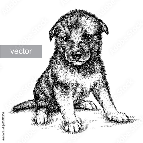 engrave dog illustration 