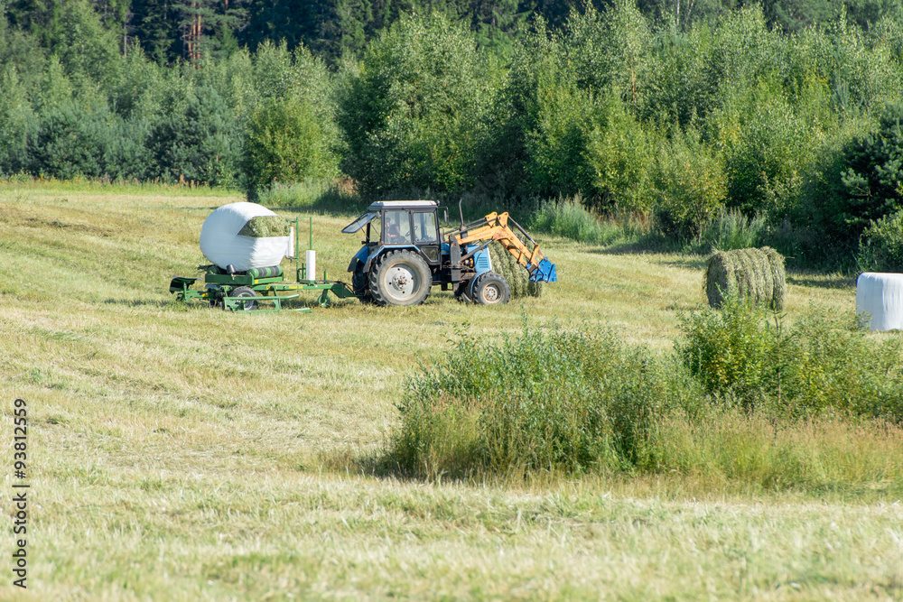 Fototapeta premium Tractors mow grass and packed