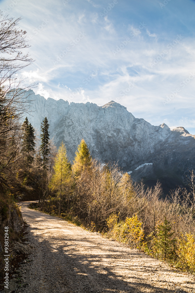 Autumn morning in the alps