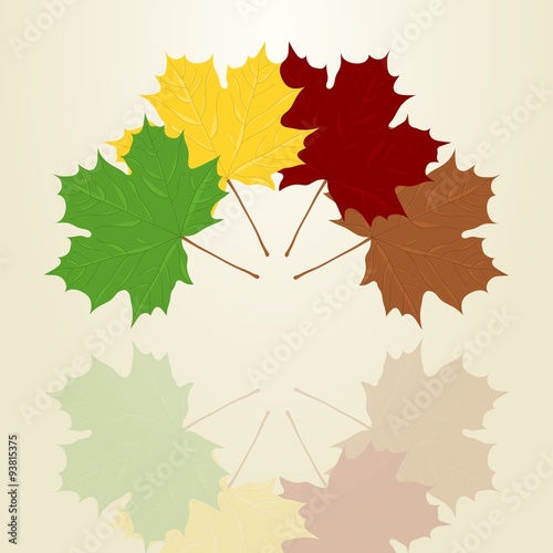 Four colors maple leafs illustration