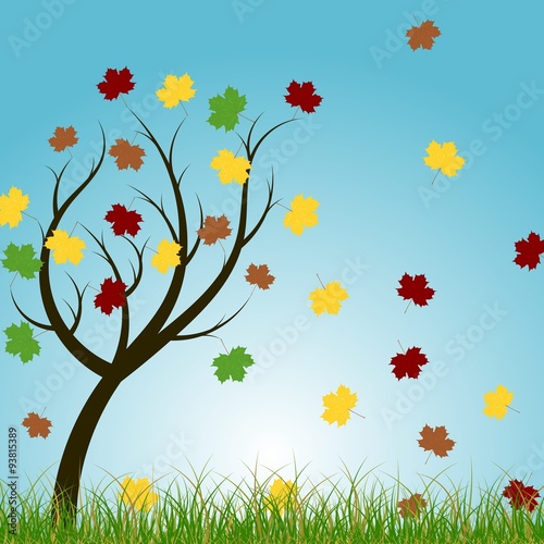 Autumn tree with maple leafs