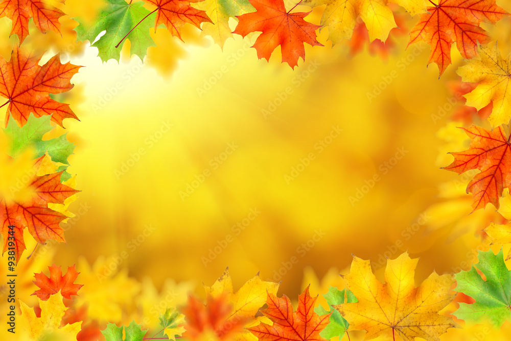 backround with autumn leaves backround with autumn leaves