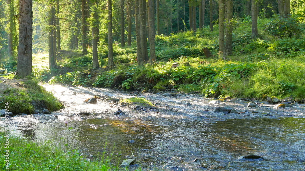 Beautiful mountain stream with sunbeams. 4K 3840x2160. Beautiful mountain stream with sunbeams. 4K 3840x2160.