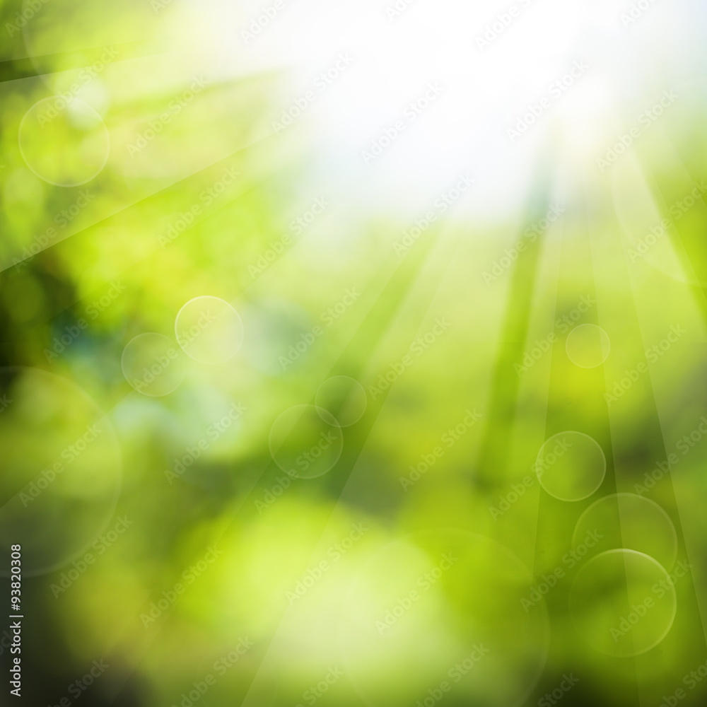 Obraz premium Green Summer Background with Foliage and Sunlight