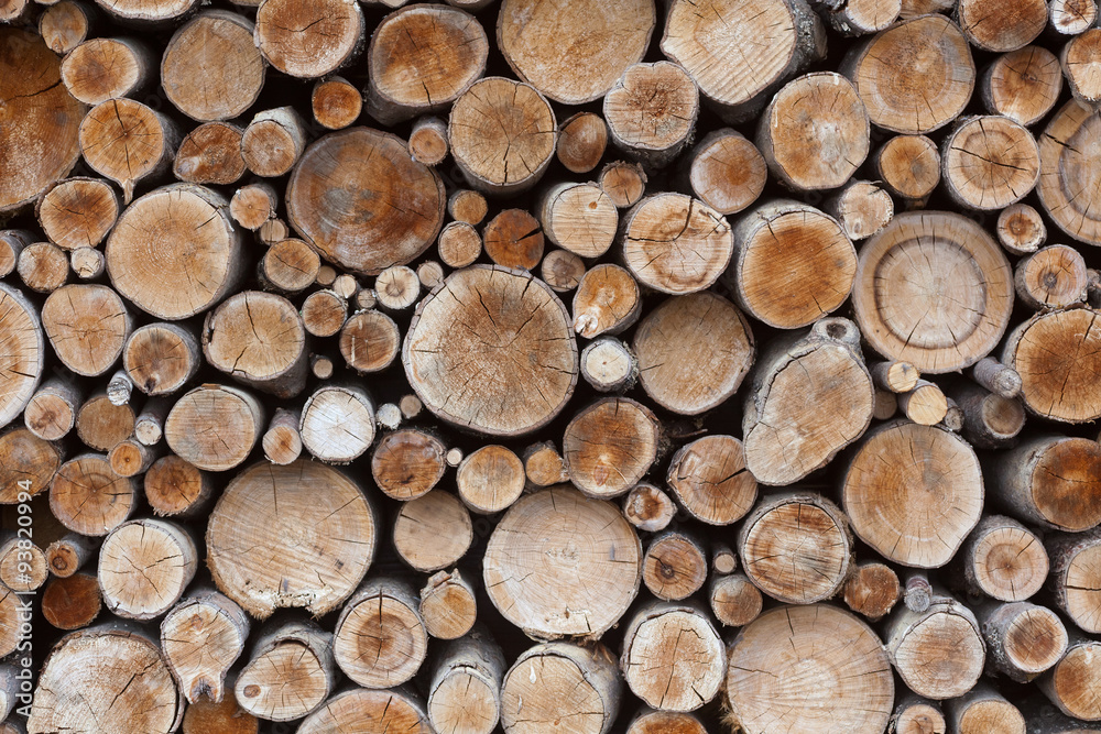 many wooden logs, natural background and texture many wooden logs, natural background and texture