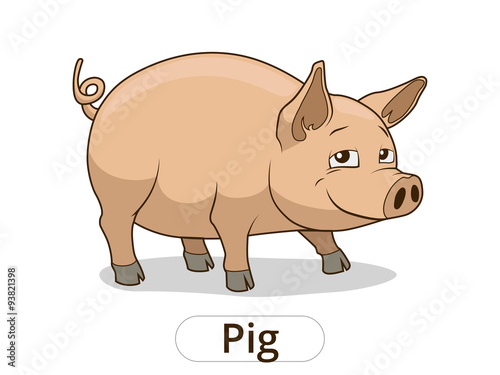 Pig animal cartoon illustration for children