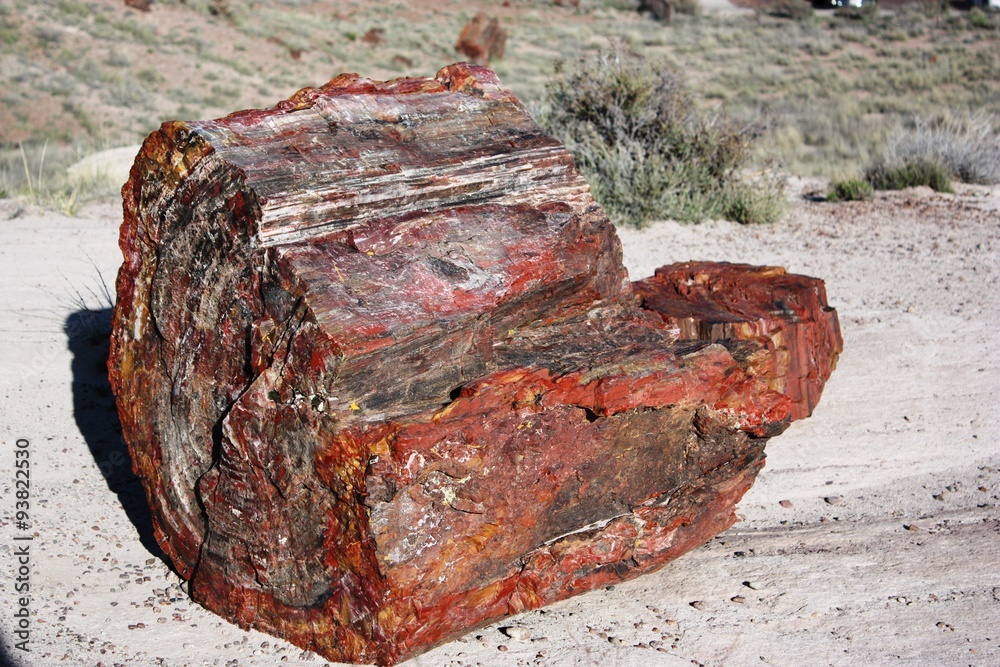 The Giant Logs in Petrified Forest National Park in Arizona, USA The Giant Logs in Petrified Forest National Park in Arizona, USA