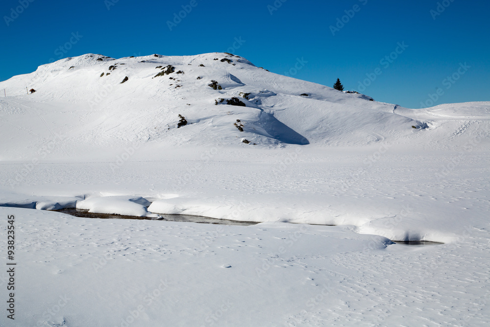 Alps in winter