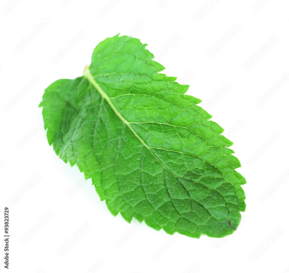 Obraz premium Fresh mint leaf isolated on white, close up