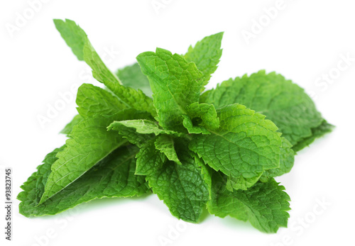 Bunch of mint isolated on white, close up