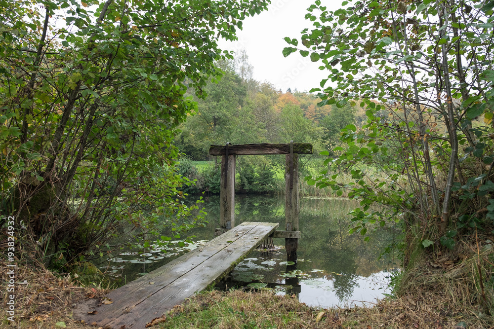 Steg am Weiher