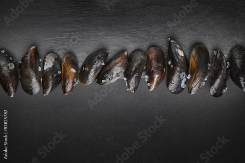 Mussel photo