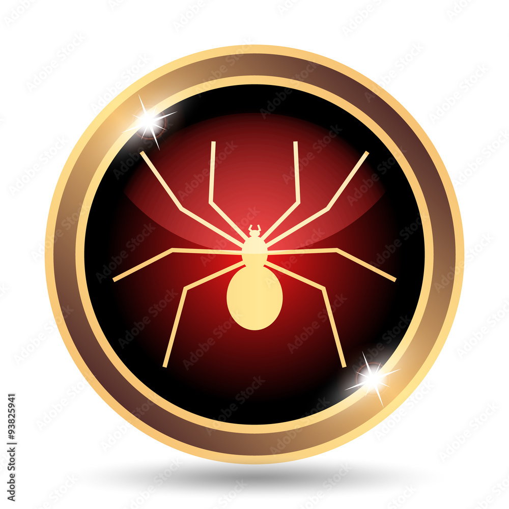 Spider icon
