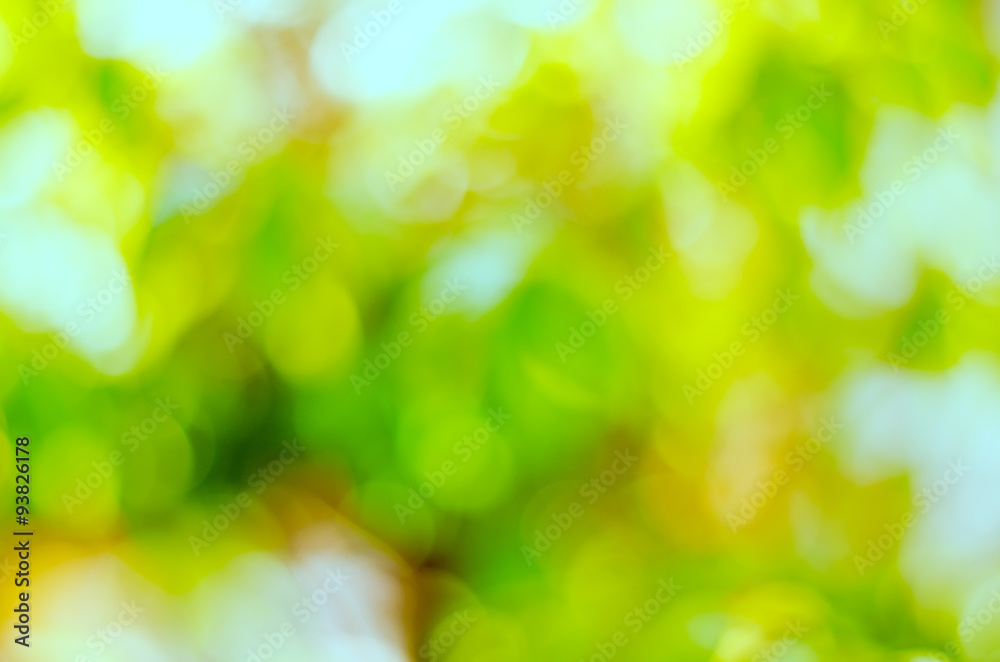 fresh condition and blur green leaves on green background fresh condition and blur green leaves on green background