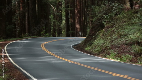 Two cars pass in redwood forest California HD