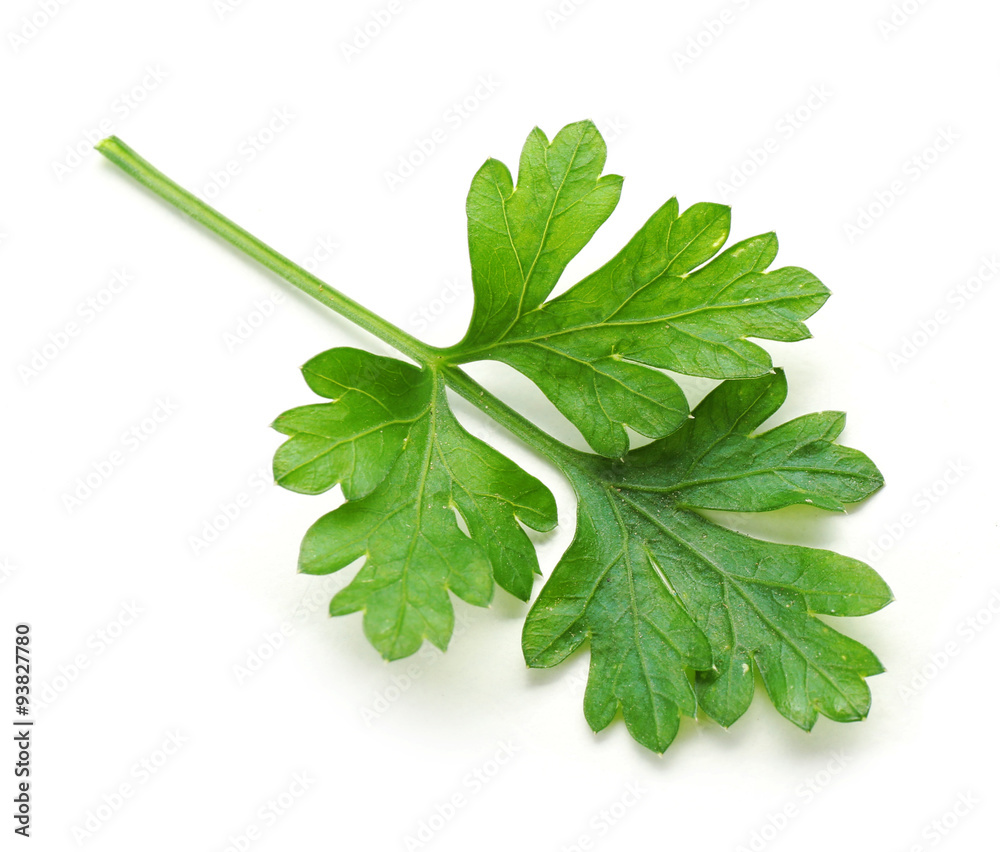 Obraz premium Fresh parsley isolated on white