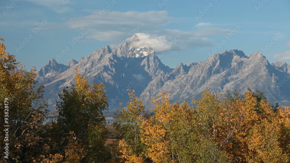 Grand Teton autumn trees P HD 3120 Grand Teton autumn trees P HD 3120