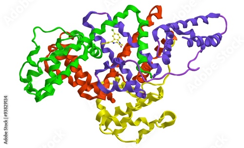 Molecular structure of human serum albumin and diazepam